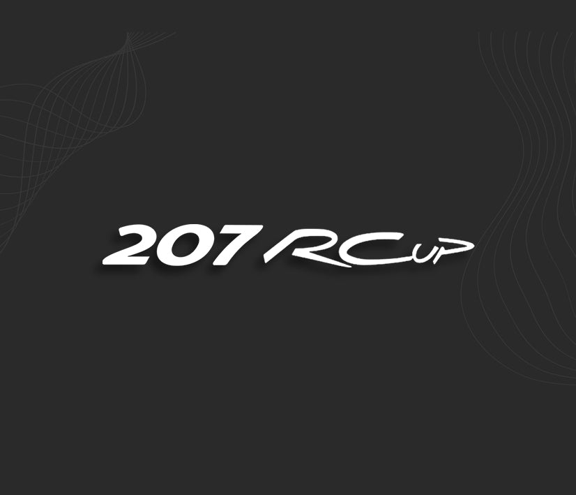autocollant peugeot stickers 207 RCup RC Cup, décalcomanie carrosserie.