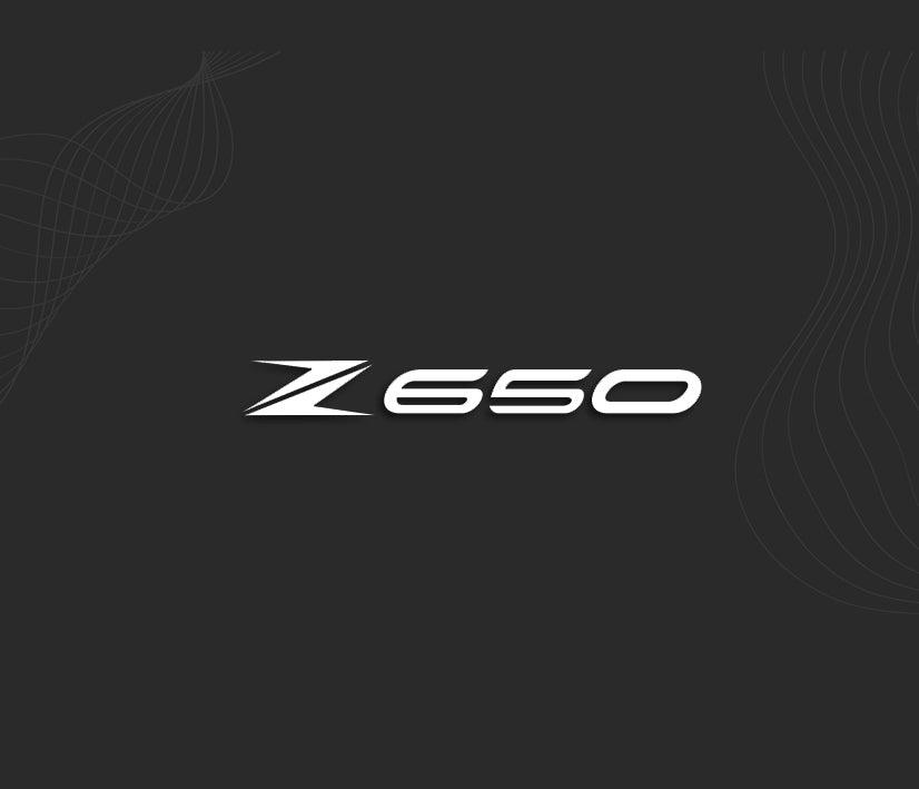 Stickers Z650  1