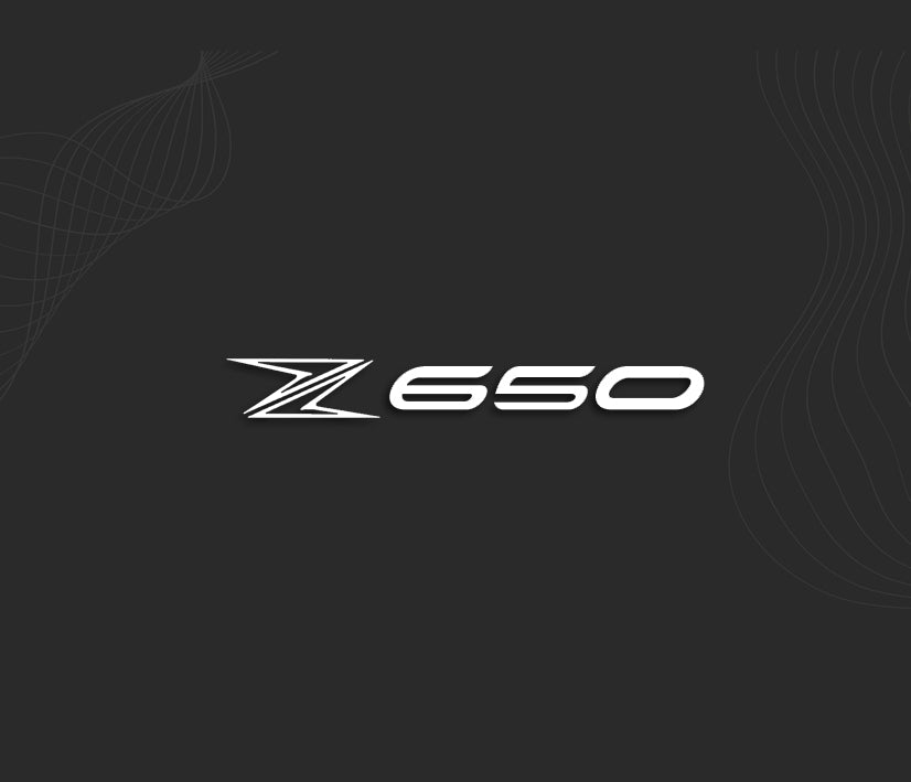 Stickers Z650  2