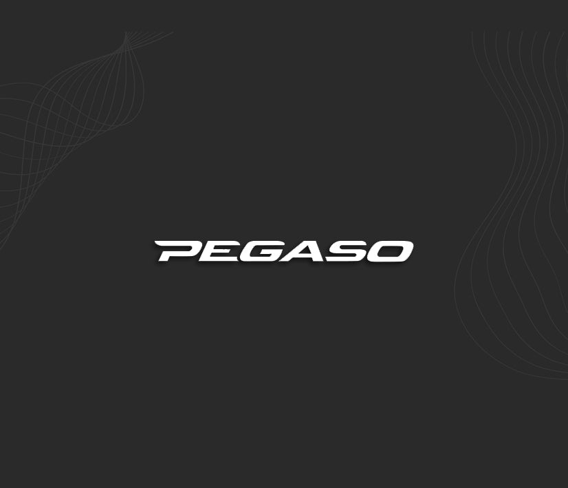 Stickers PEGASO (Aprilia)