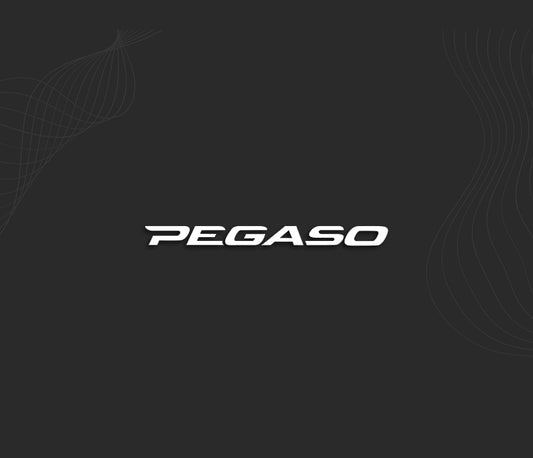 Stickers PEGASO (Aprilia)
