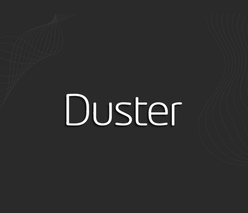 Stickers DUSTER (Dacia)