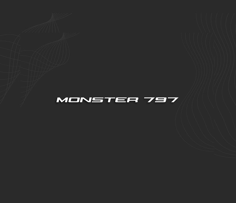 Stickers MONSTER 797 (ducati)