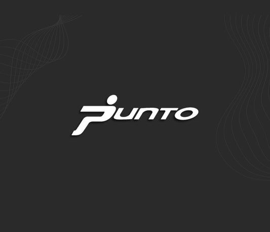 PUNTO (Fiat) stickers