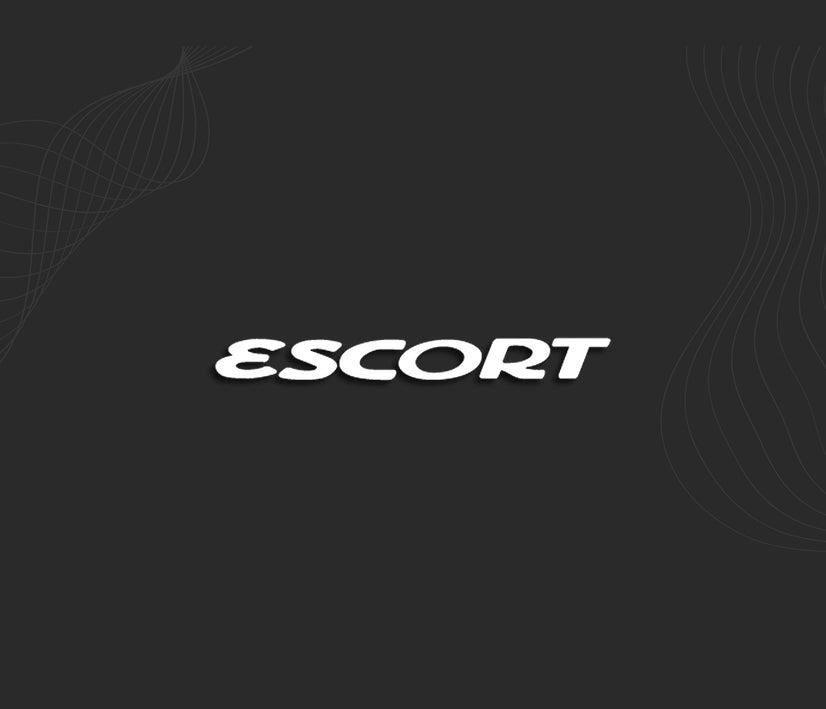 Stickers ESCORT (Ford)
