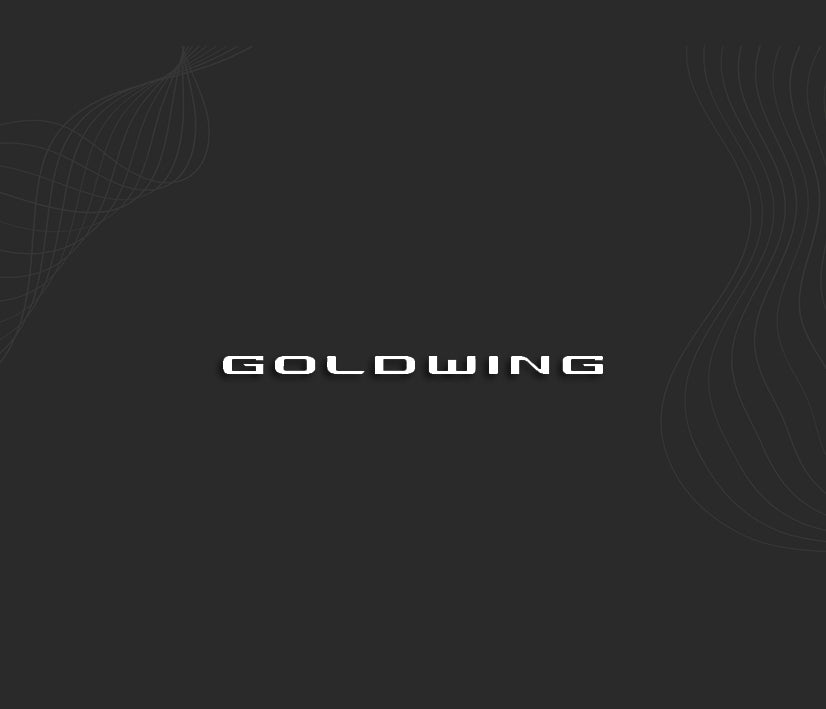 Stickers GOLDWING (Honda)