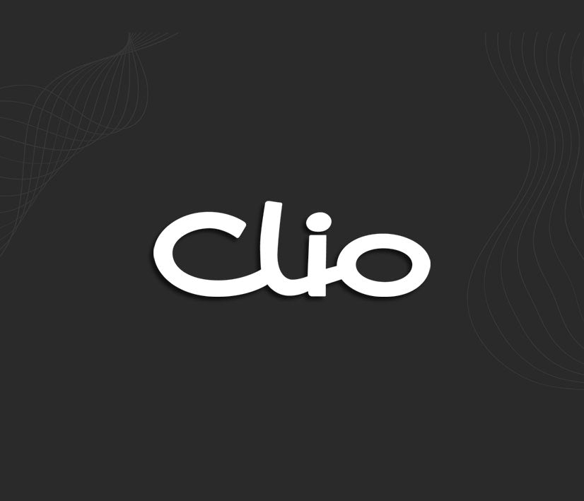 Stickers CLIO 1 (Renault)