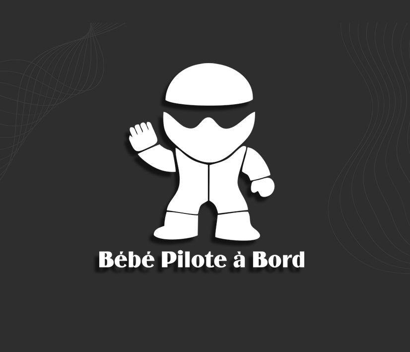 Stickers BEBE A BORD Pilote