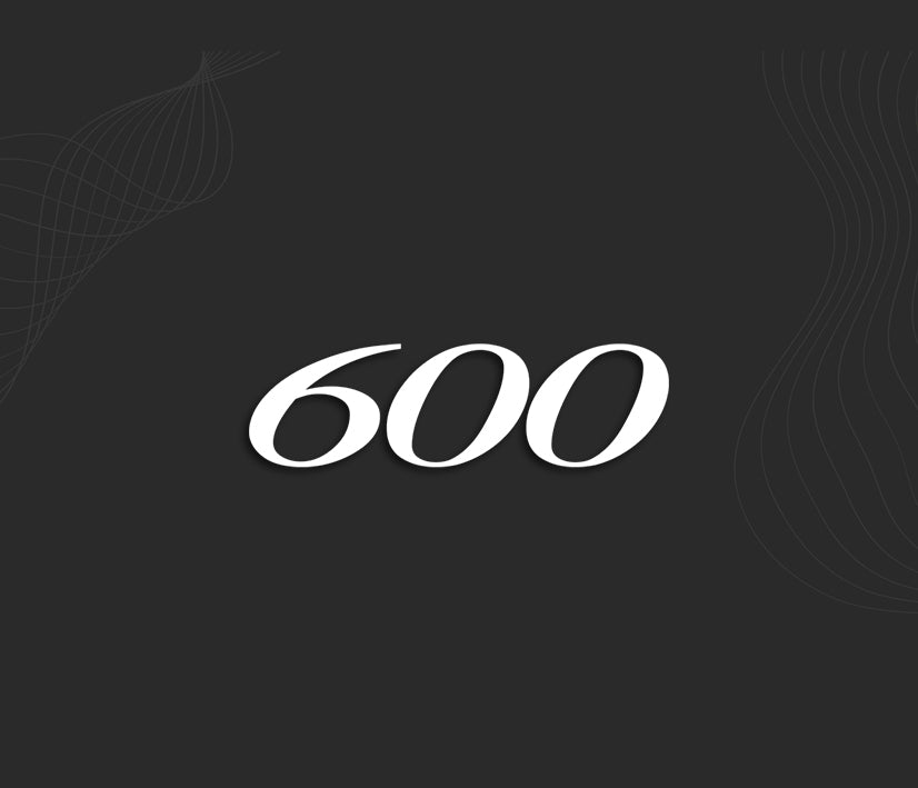 Stickers 600 (Suzuki)