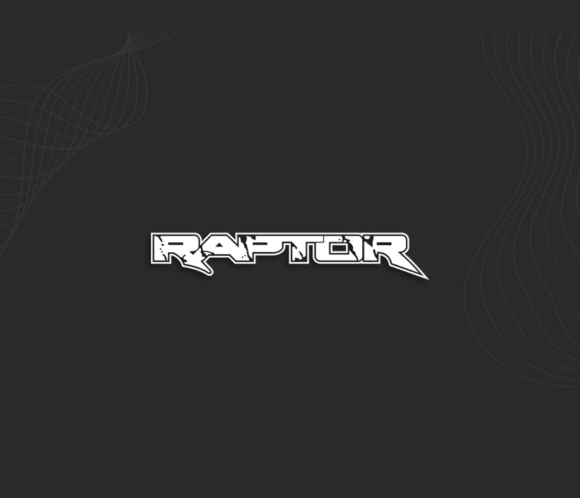 Stickers RAPTOR 2 (Yamaha)