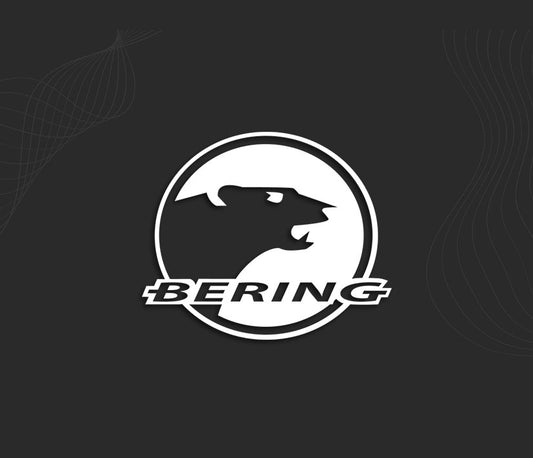 BERING 2 stickers