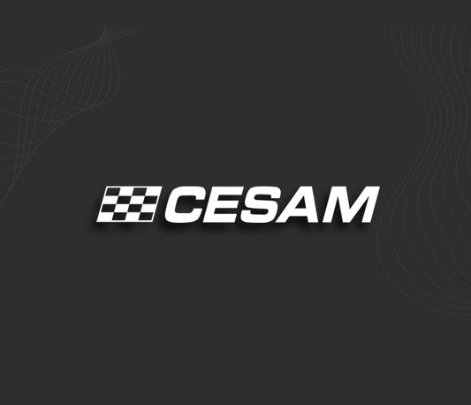 CESAM stickers