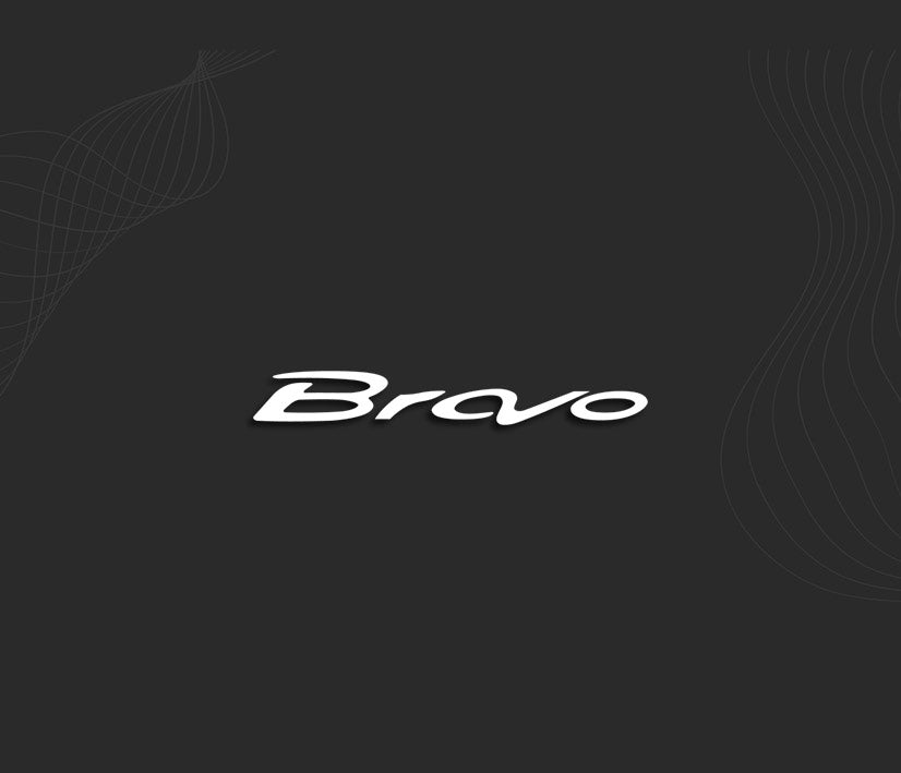 BRAVO stickers (Fiat)